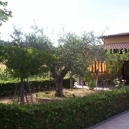Agriturismo 7 Colonne Villa Bertinoro Ngoại thất bức ảnh