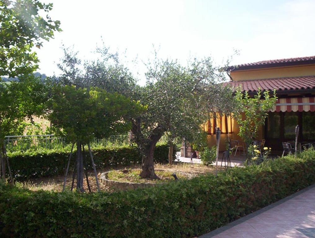 Agriturismo 7 Colonne Villa Bertinoro Ngoại thất bức ảnh