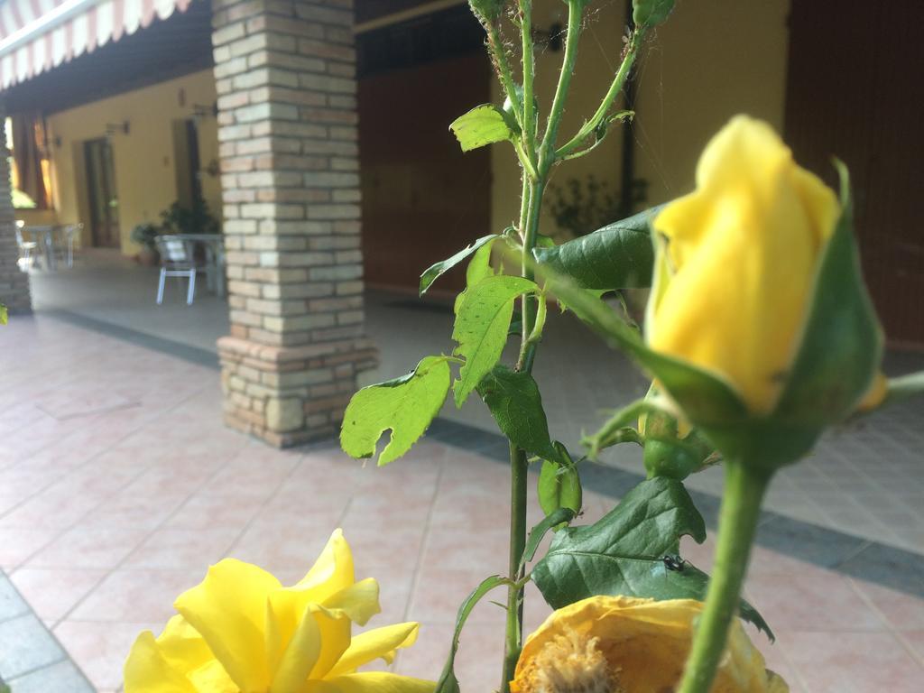 Agriturismo 7 Colonne Villa Bertinoro Ngoại thất bức ảnh
