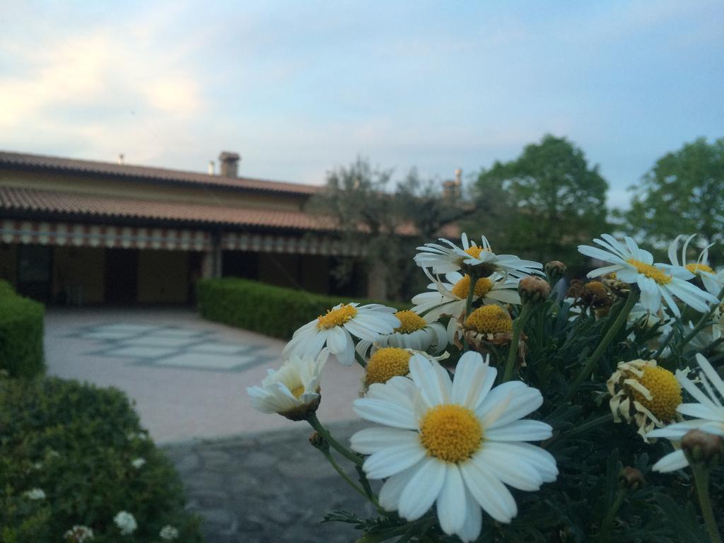 Agriturismo 7 Colonne Villa Bertinoro Ngoại thất bức ảnh