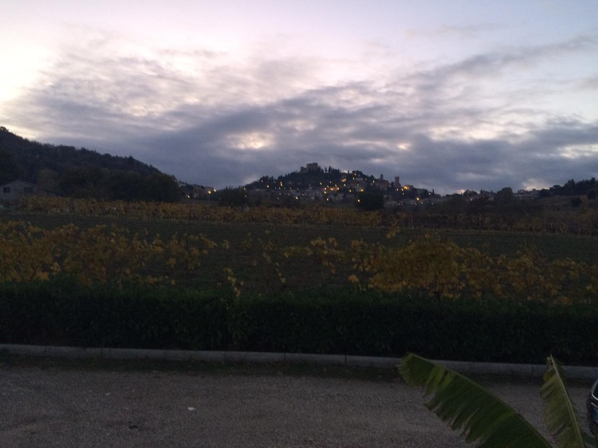 Agriturismo 7 Colonne Villa Bertinoro Ngoại thất bức ảnh